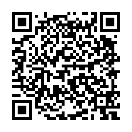 QR code for 2II498