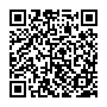 QR code for plate 2IJ 202