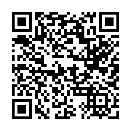 QR code for 2IM393