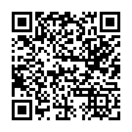 QR code for plate 2IN 963