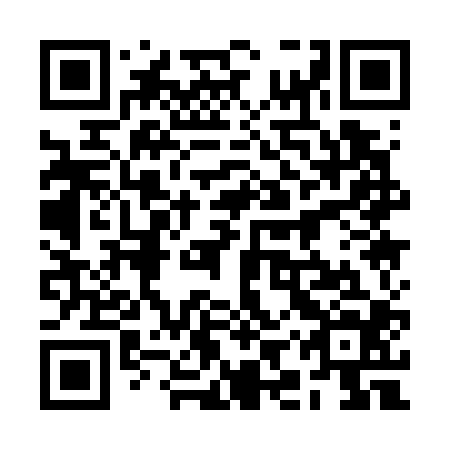QR code for 2IQ 704