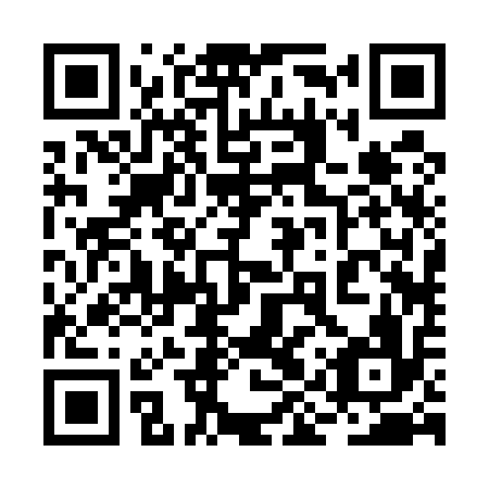 QR code for 2IR 516