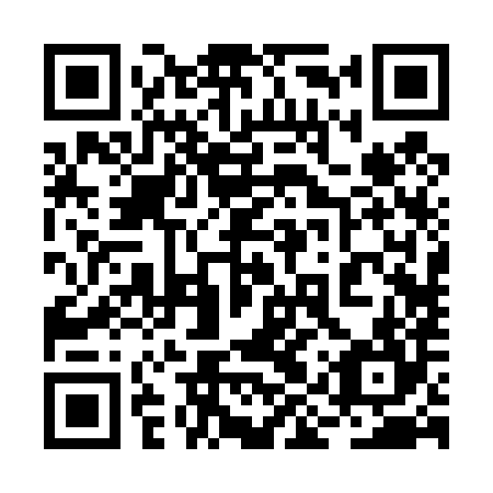 QR code for 2IR484