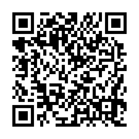 QR code for 2L 0377