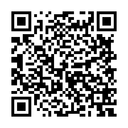 QR code for 2L 0868