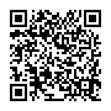 QR code for plate 2L 0195