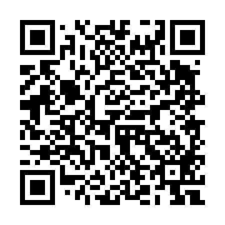 QR code for plate 2L 0489