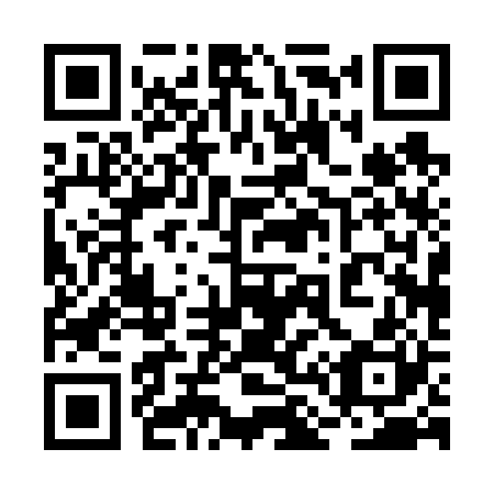 QR code for plate 2L 0620