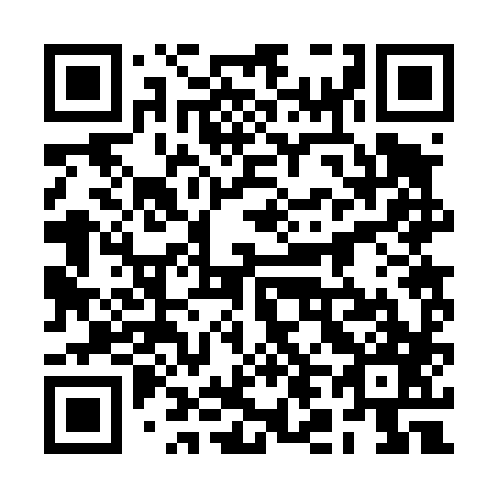 QR code for plate 2L 2487