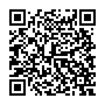 QR code for plate 2L 4767