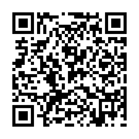 QR code for plate 2L 4813