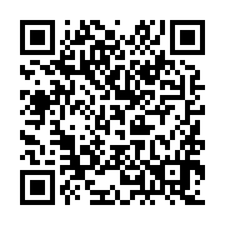 QR code for plate 2L 4894