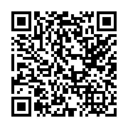 QR code for plate 2L 9881