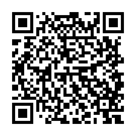 QR code for plate 2LF 987