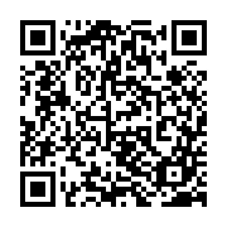 QR code for plate 2LG 847