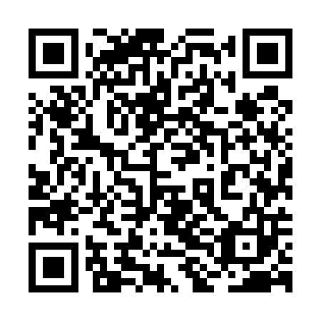 QR code for plate 2LM 503
