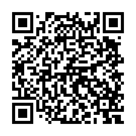QR code for plate 2LO 487