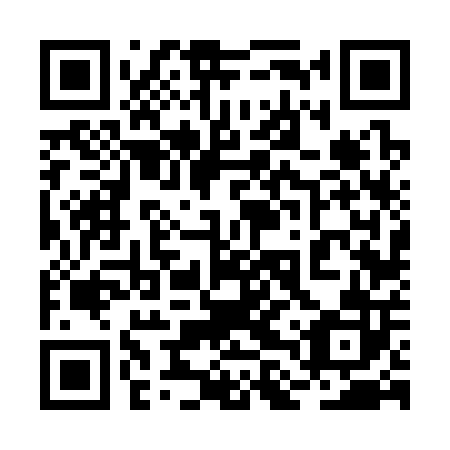 QR code for plate 2LV 302