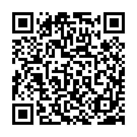 QR code for 2M 2013