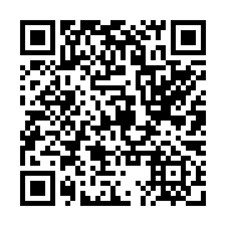 QR code for plate 2MV 299