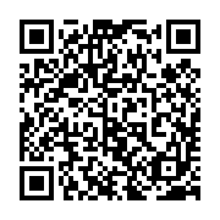 QR code for 2N 2493