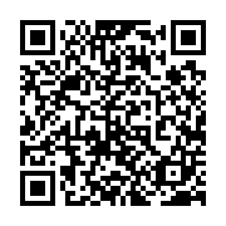 QR code for 2N 4703