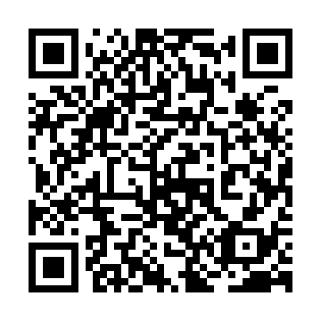 QR code for 2N 5938