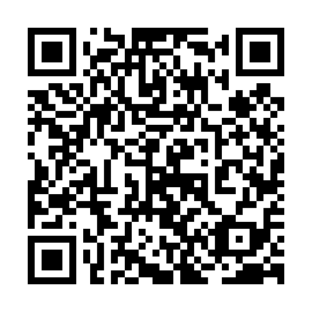 QR code for 2N 6419
