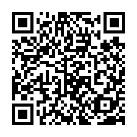 QR code for 2N 6658