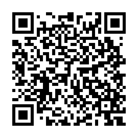 QR code for plate 2N 0345