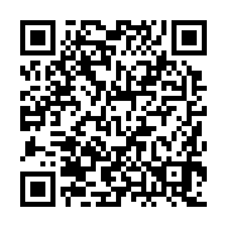 QR code for 2N0390