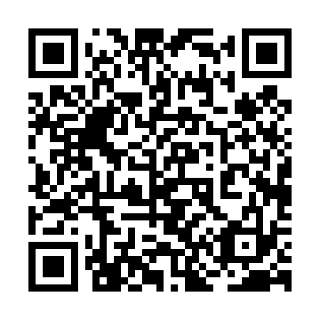 QR code for 2N0433