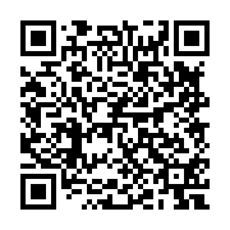 QR code for 2N0810