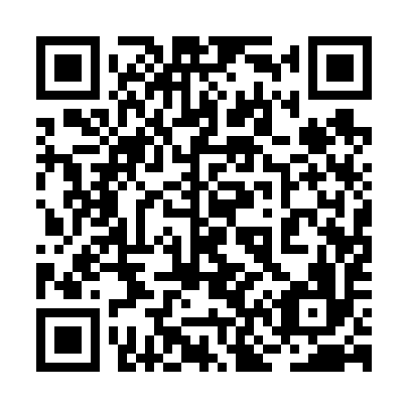 QR code for 2N1696
