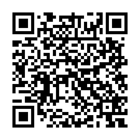 QR code for 2N2529
