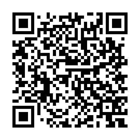 QR code for 2N5176