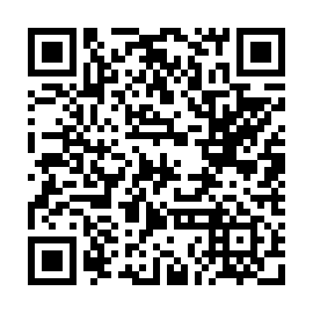QR code for plate 2NG 619
