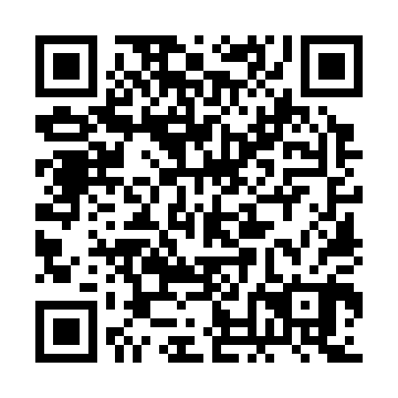 QR code for plate 2NO 300