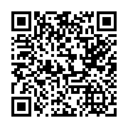 QR code for 2NS 335