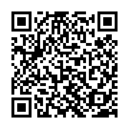 QR code for 2NS438