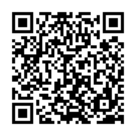 QR code for plate 2NS 536
