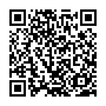 QR code for 2O 4125