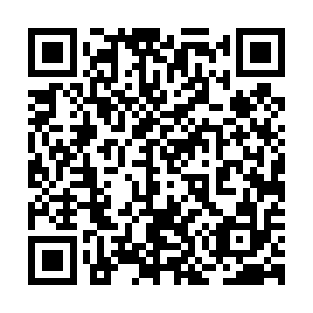 QR code for 2O 4412