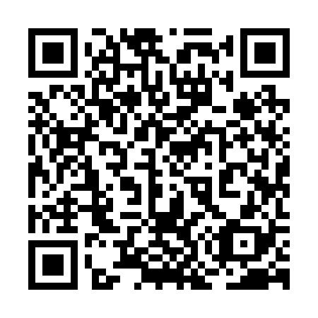 QR code for 2O 9228