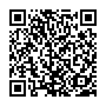 QR code for plate 2O 3338