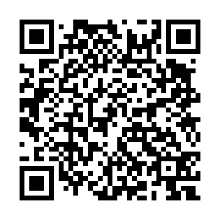 QR code for plate 2O 3432