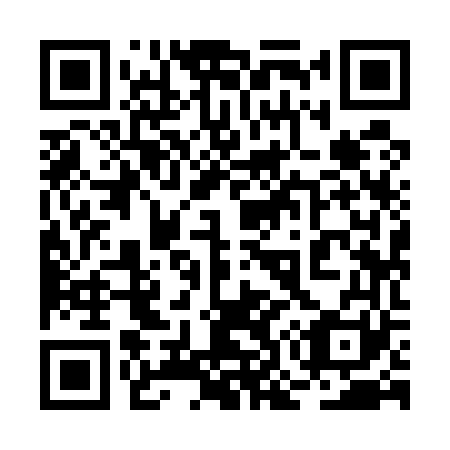 QR code for plate 2O 9561