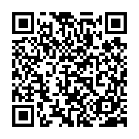 QR code for plate 2O 9665