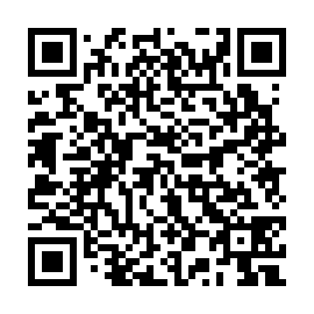 QR code for 2P 0338
