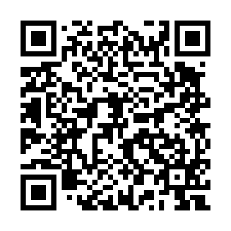 QR code for 2P 3495